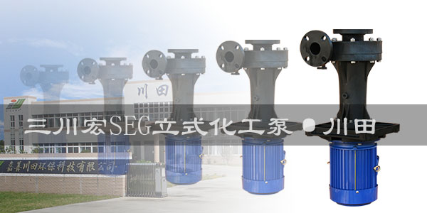 川田环保三川宏立式泵SEG